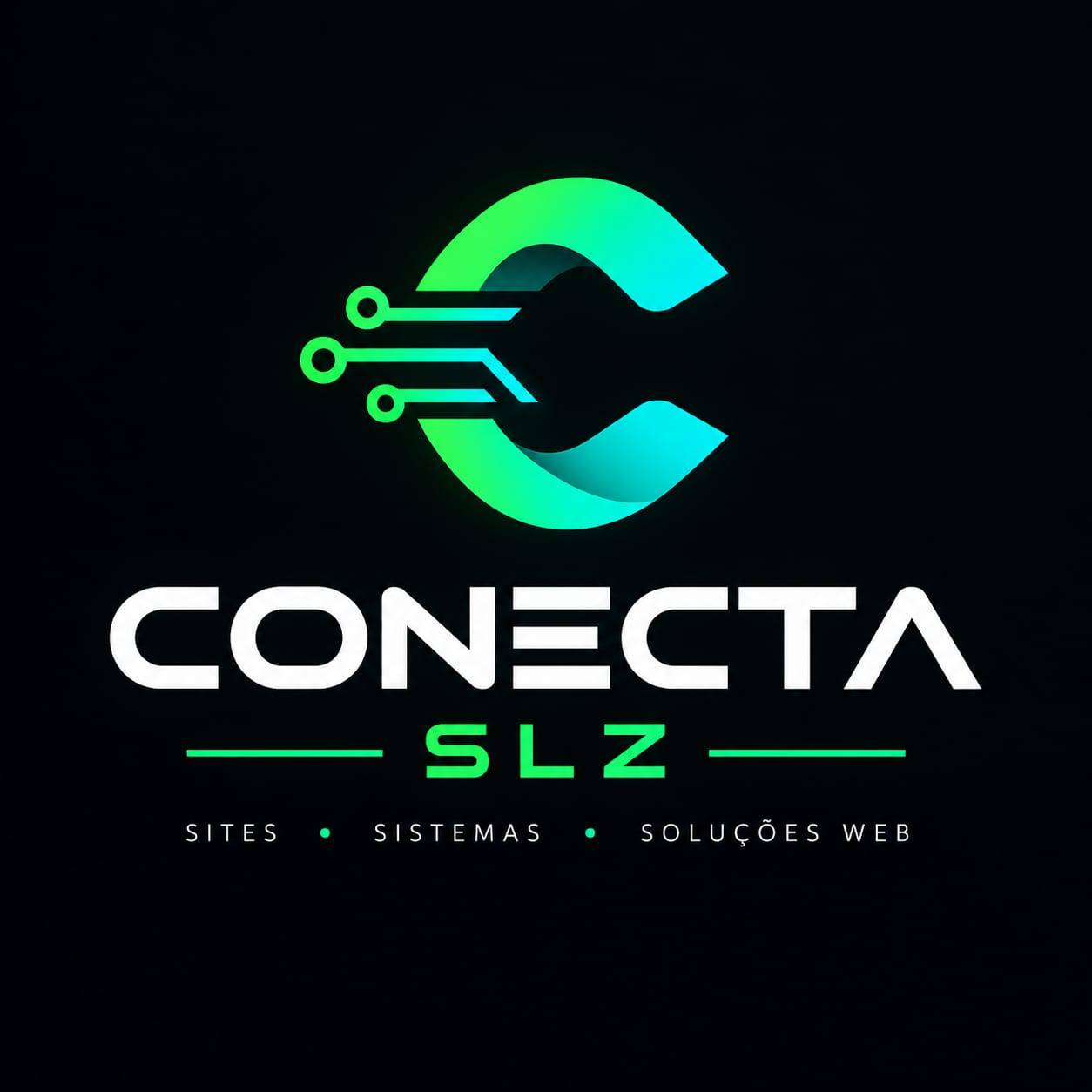 Conecta SLZ